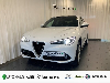 Alfa Romeo Stelvio Super Q4 2.2 JTDM Navi Keyless Dyn. Kurvenlicht ACC Rückfahrk