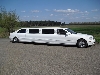 Mercedes-Benz S 500 Strechlimosine